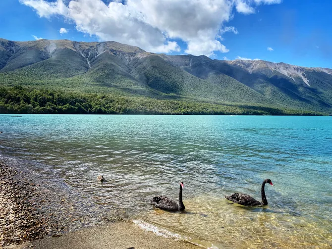 Photograph from New Zealand