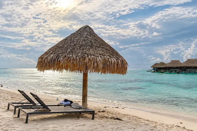 Mini Life Mo’orea: No Nest is Better Than an Empty Nest