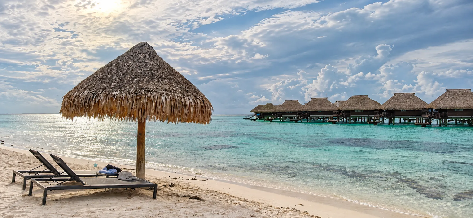 Mini Life Mo’orea: No Nest is Better Than an Empty Nest