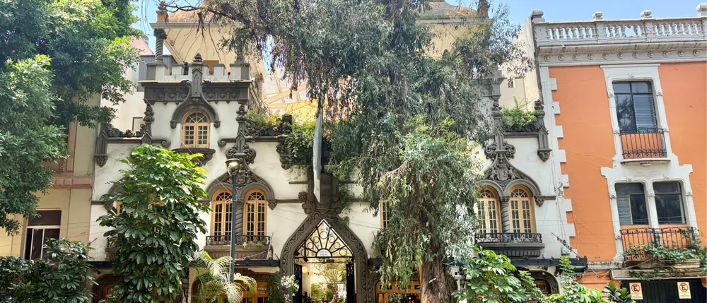Roma Norte and Condesa: Snapshots from a Leafy CDMX