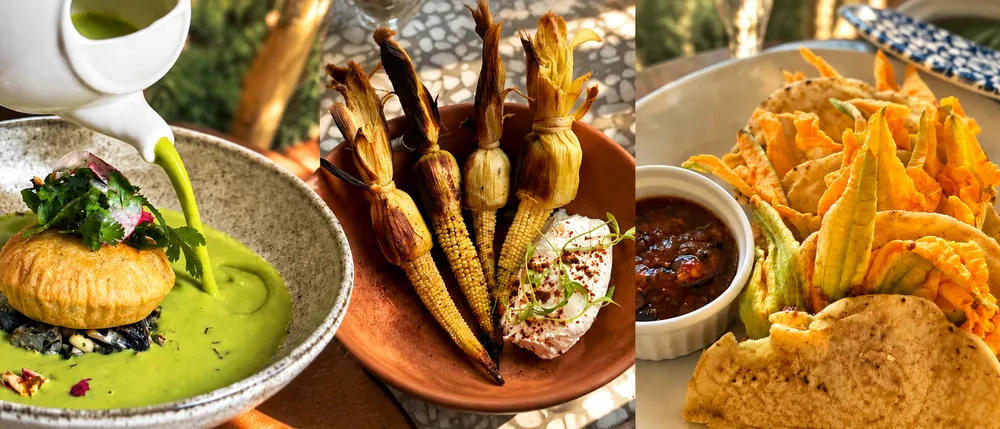 My Favorite Bites in San Miguel de Allende