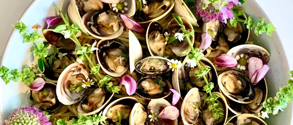 Recipe: Clams with Bee Balm & Basil Blossom Pesto