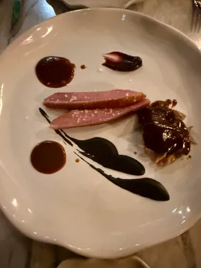 Duck, black mole & red fruits
