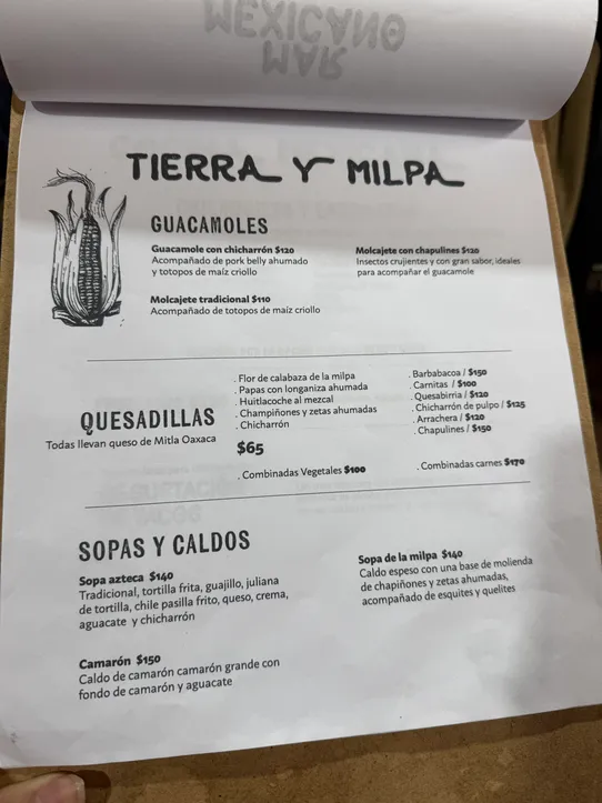 Photograph from Trinidad Ritual de Sabores- A Taco Pilgrimage in the Middle of Mercado de Coyoacán