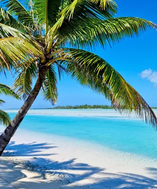 Photograph from Cook Islands Dispatch: A Birthday Escape to Aitutaki