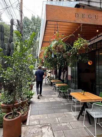 Photograph from Roma Norte and Condesa: Snapshots from a Leafy CDMX