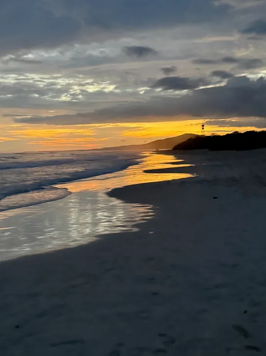 Photograph from The Pleasure of Isabela