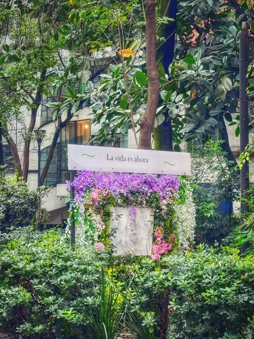 Photograph from Roma Norte and Condesa: Snapshots from a Leafy CDMX