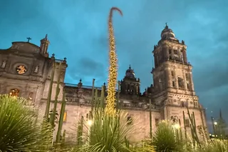 7 Hours in Centro Histórico