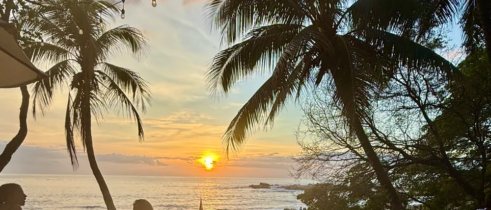 Costa Rica Dispatch: A Hard-to-Find Table by the Sea at La Luna, Nosara