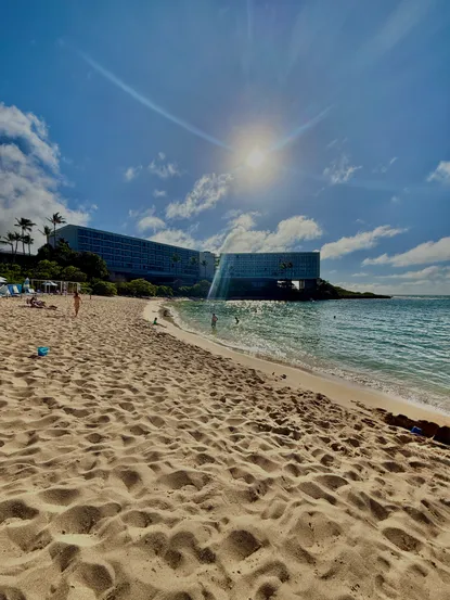 Turtle Bay