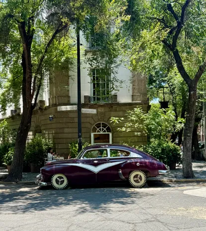 Photograph from Roma Norte and Condesa: Snapshots from a Leafy CDMX