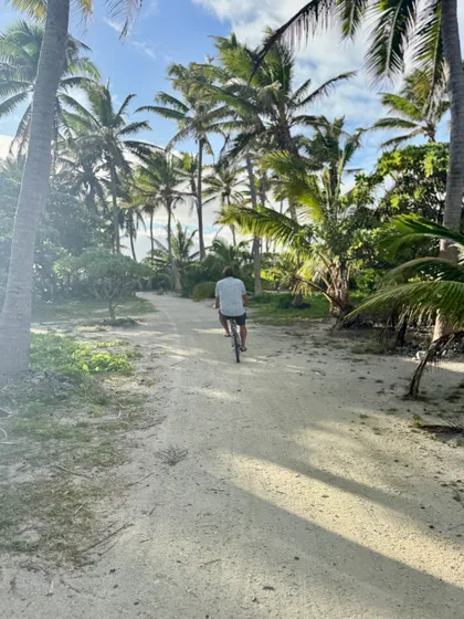 The sand track through the palms