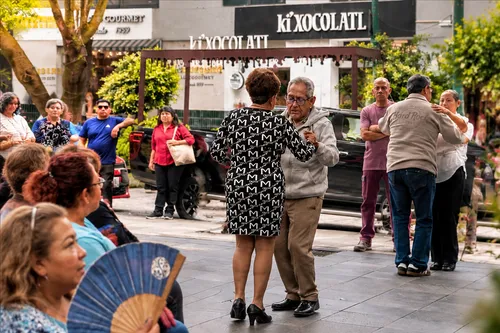 A Day  in Coyoacán
